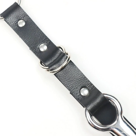 Collar and with EverydayUse 5853 Anal Hook Leash Kinky 0324
